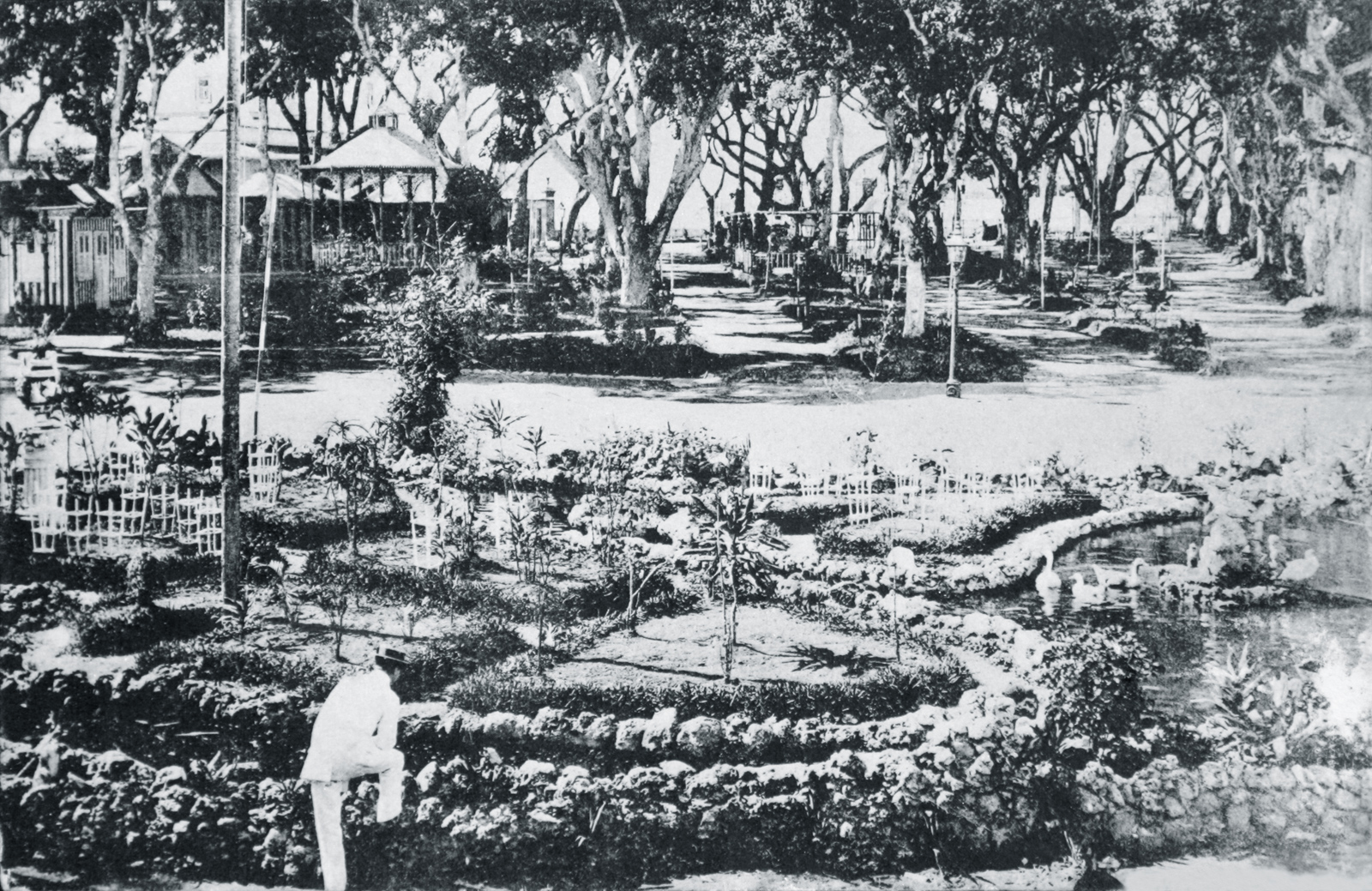 Jardins Salvador