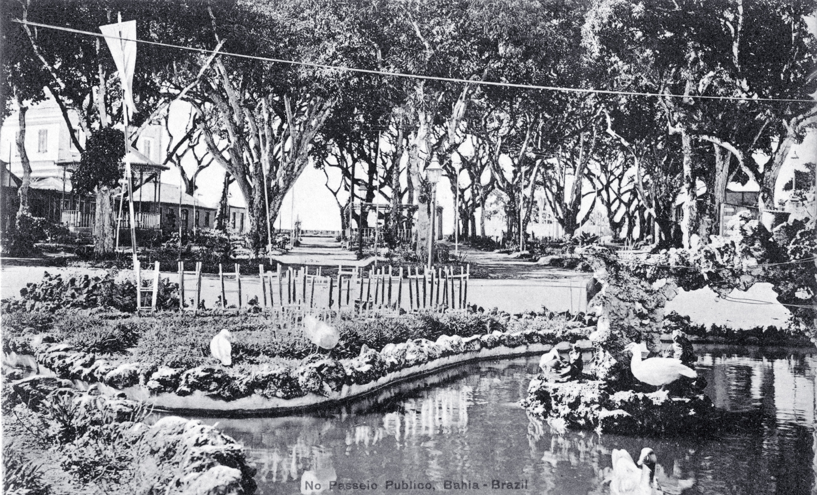 Lago Passio publico