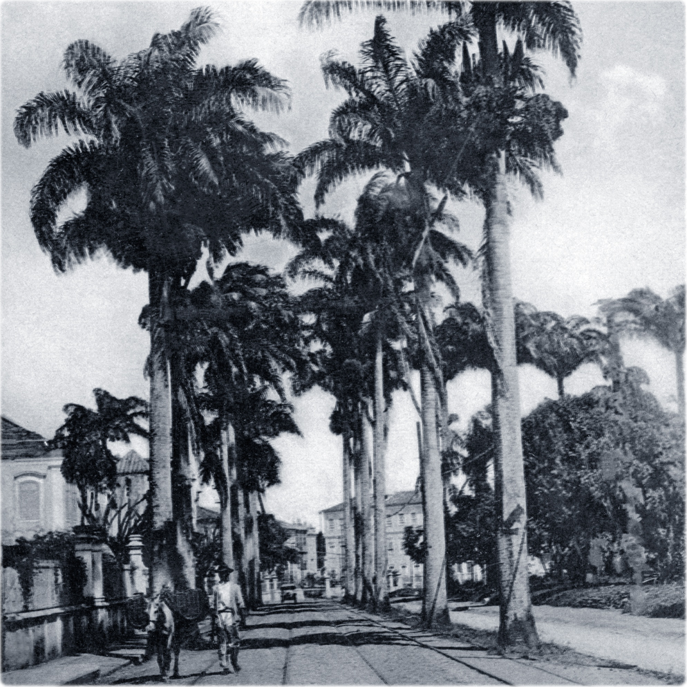 Almeida Couto
